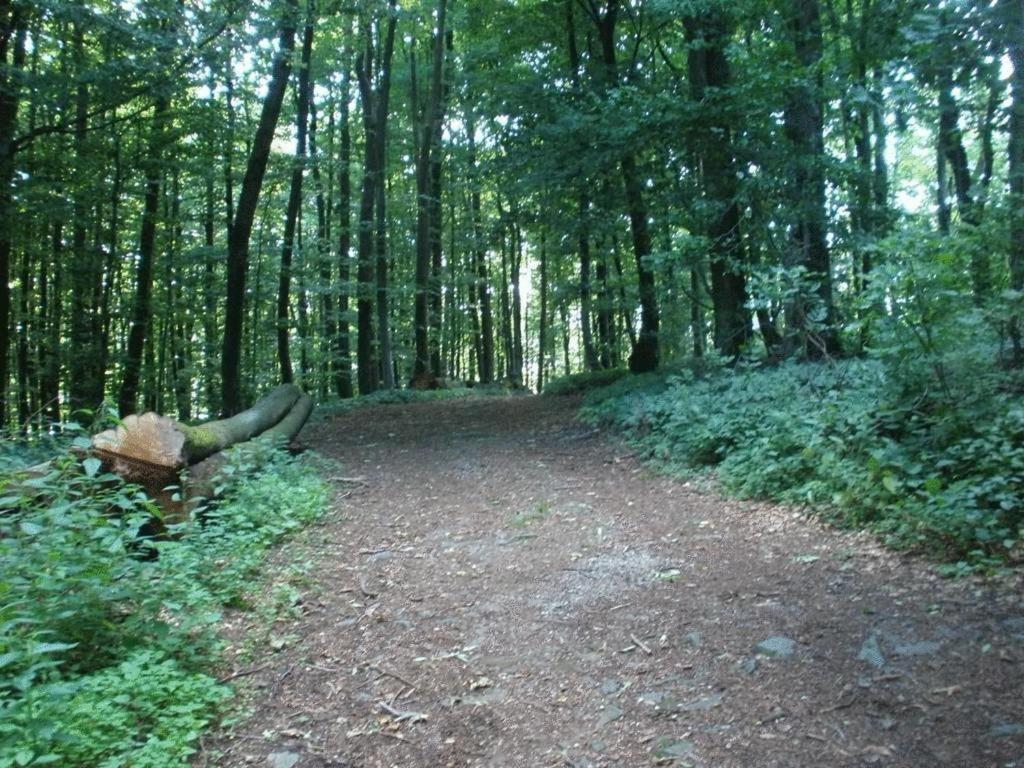 Ferienwohnung Irmgard Und Ferienwohnung Gerlinde Waldbrunn  Dış mekan fotoğraf